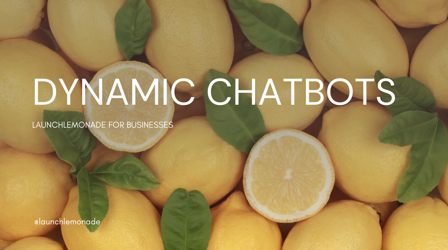 Dynamic Chatbots