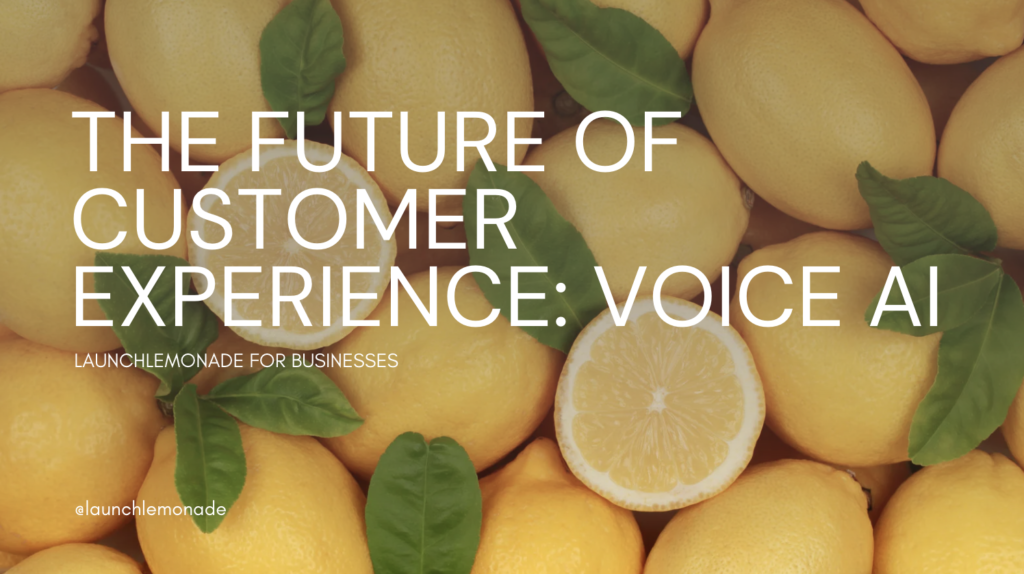 The Future Of Customer Experience is Voice AI